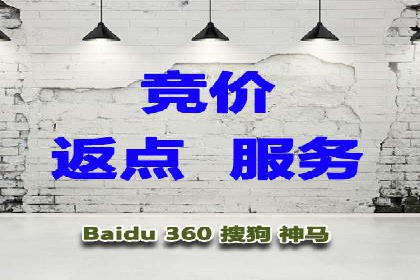 百度竞价广告运营全解析：成功案例揭秘